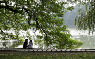 Un jardin au Vietnam : entre eau, silence et contemplation