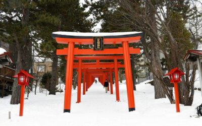 Partir au Japon en hiver : mes conseils de photographe et de guide