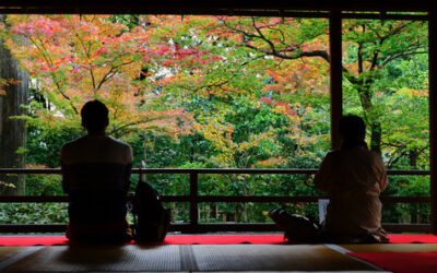 Photographier la sérénité : le pouvoir apaisant des images