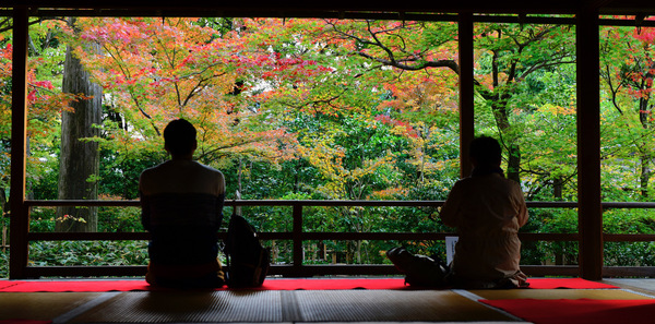 Photographier la sérénité : le pouvoir apaisant des images
