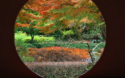 Photographier un jardin japonais : les erreurs à éviter, les réflexes à adopter