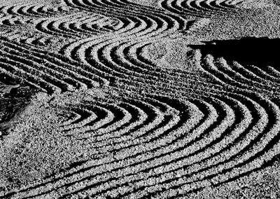 Un jardin de Mirei Shigemori