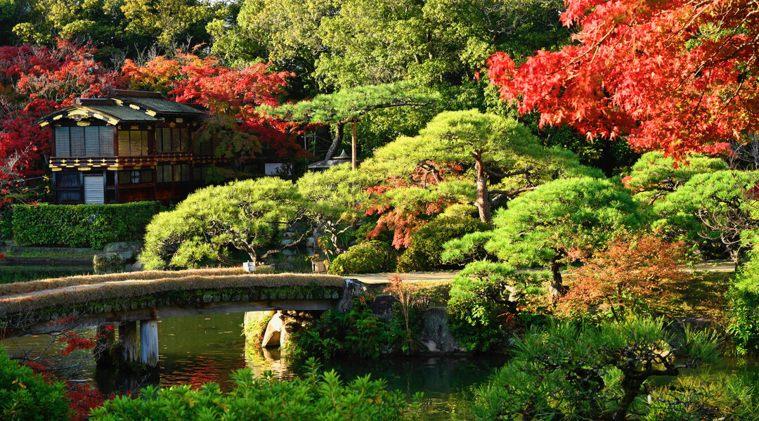 Le rôle du silence dans la culture japonaise — et ma manière de le photographier