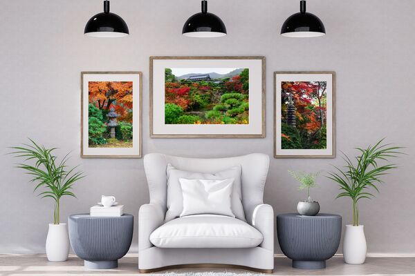 soreau photographe jardins japonais