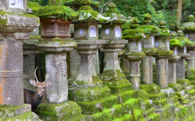 Éthique du voyage : temples, jardins, habitants — ce que j’explique à mes groupes