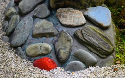 La philosophie du wabi-sabi dans la photographie : comment je compose mes images