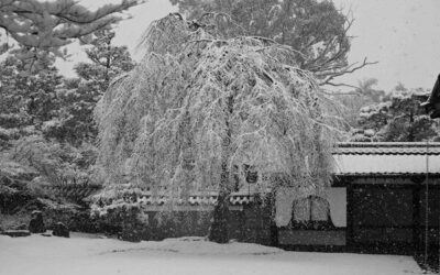 Kyoto sous la neige : instant suspendu dans un jardin japonais