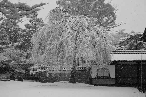 Kyoto sous la neige
