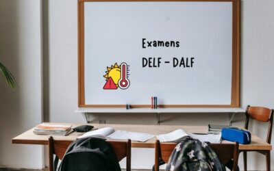 Réussir son DELF ou DALF en été : stratégies anti-canicule